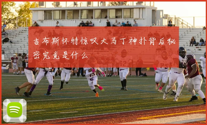 吉布斯怀特惊叹大马丁神扑背后秘密究竟是什么